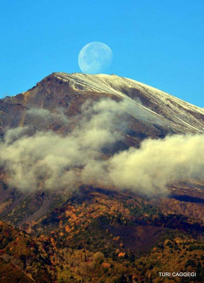 Guest House Le Ginestre Dell'Etna Belpasso Kültér fotó